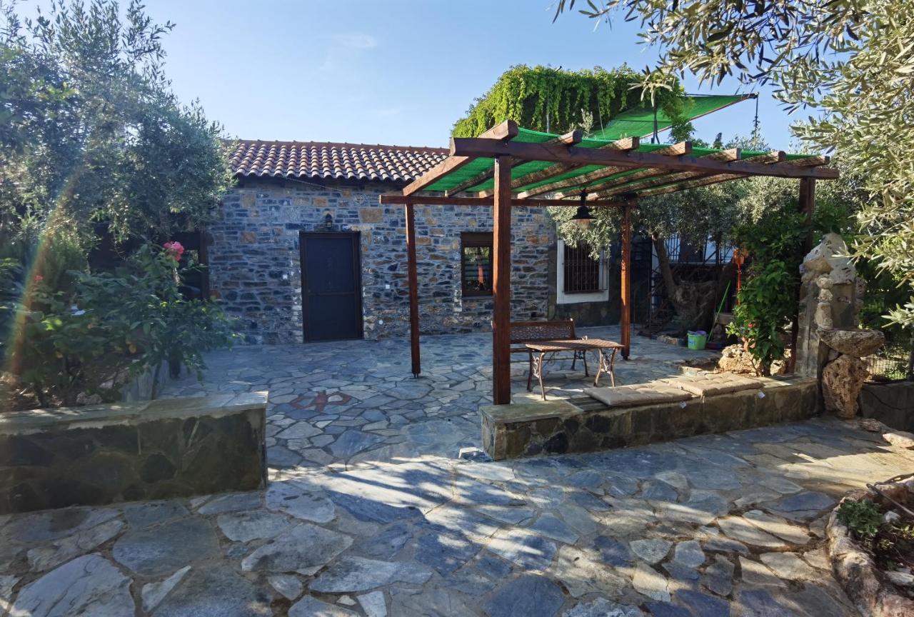 Elaion Thea-Nies Βίλα Σούρπη Εξωτερικό φωτογραφία