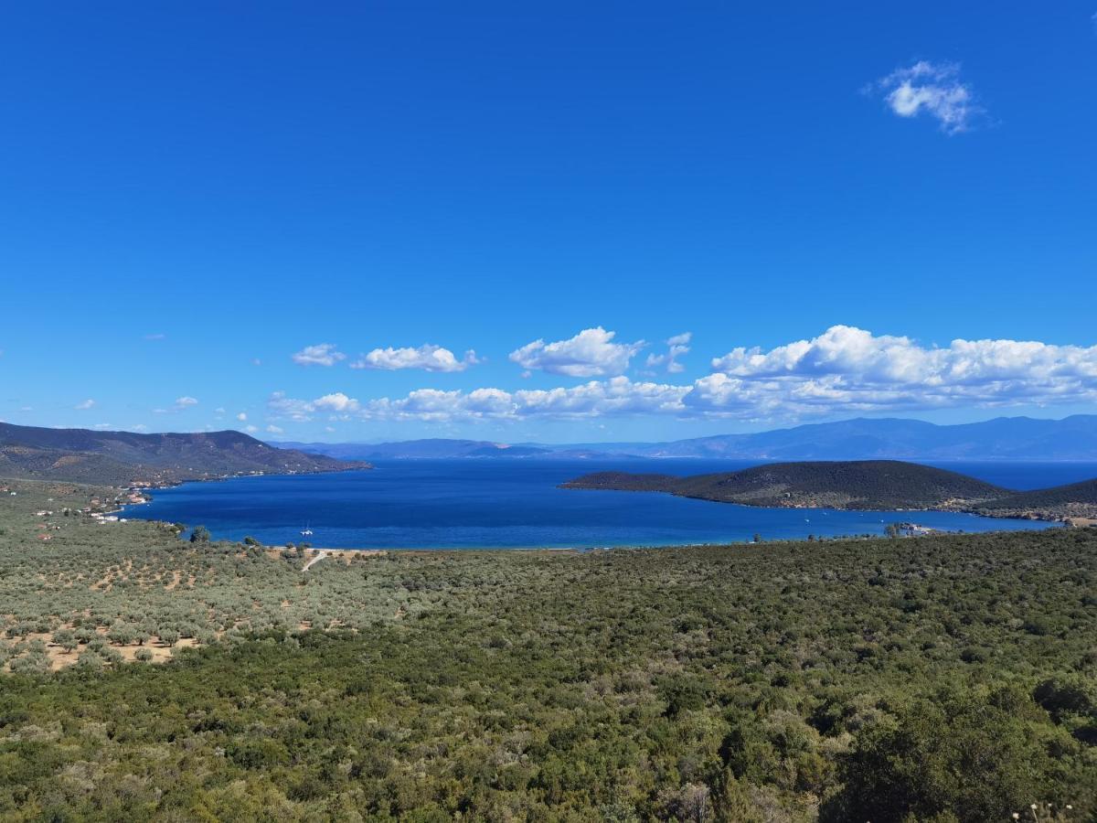Elaion Thea-Nies Βίλα Σούρπη Εξωτερικό φωτογραφία